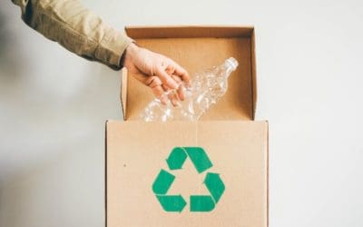 Revolutionize Your Shipping with Compostable Mailers: The Ultimate Eco-Friendly Solution in 2025