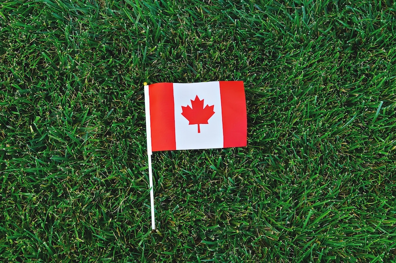 Canada Flag on Green Grass Background